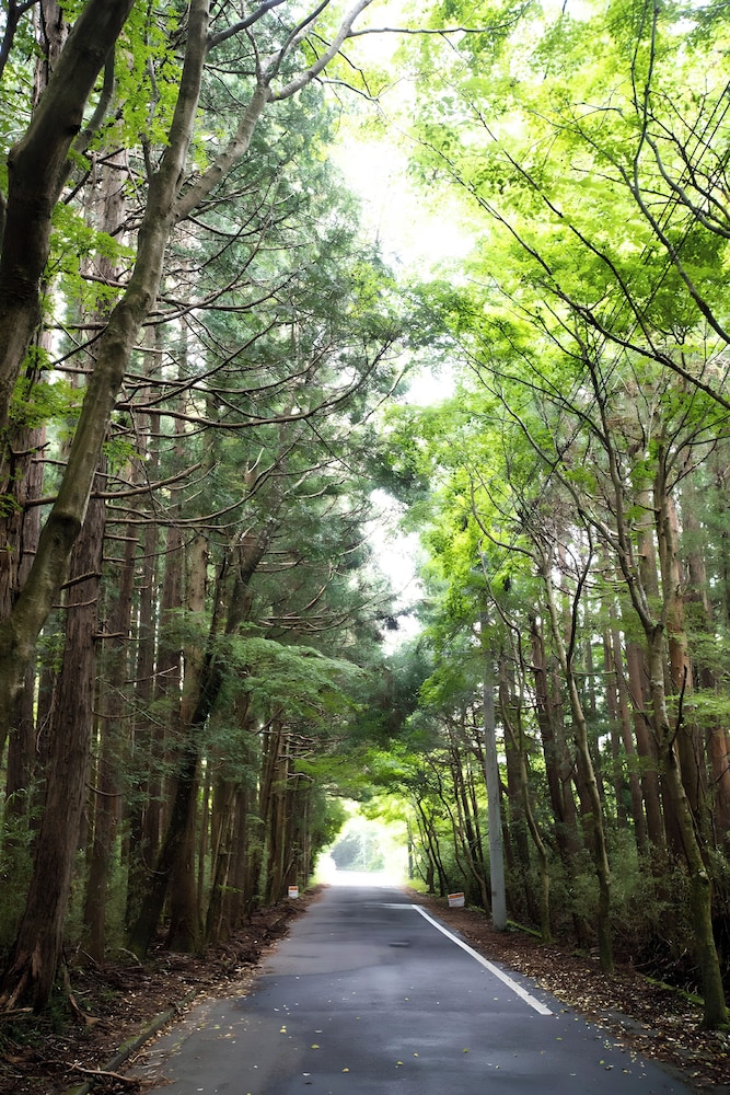 Hotel Sengokuhara 533 39/46
