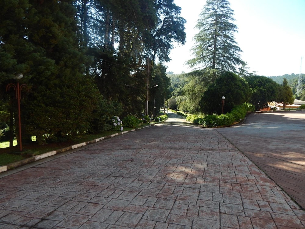 Hotel Platanus 37/48