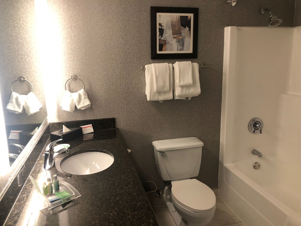 Holiday Inn La Mirada 8/54