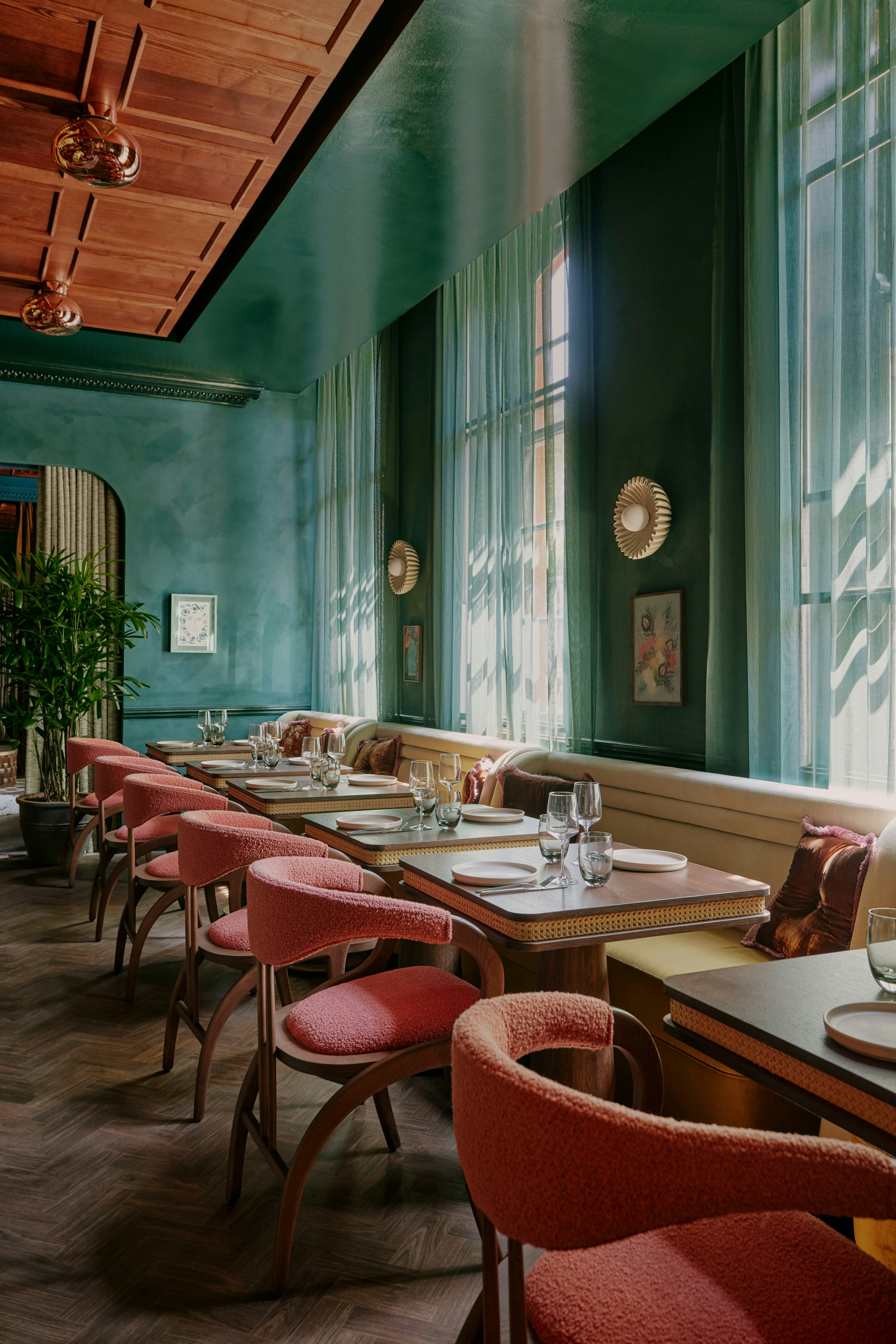 Ember Locke, Kensington 37/50