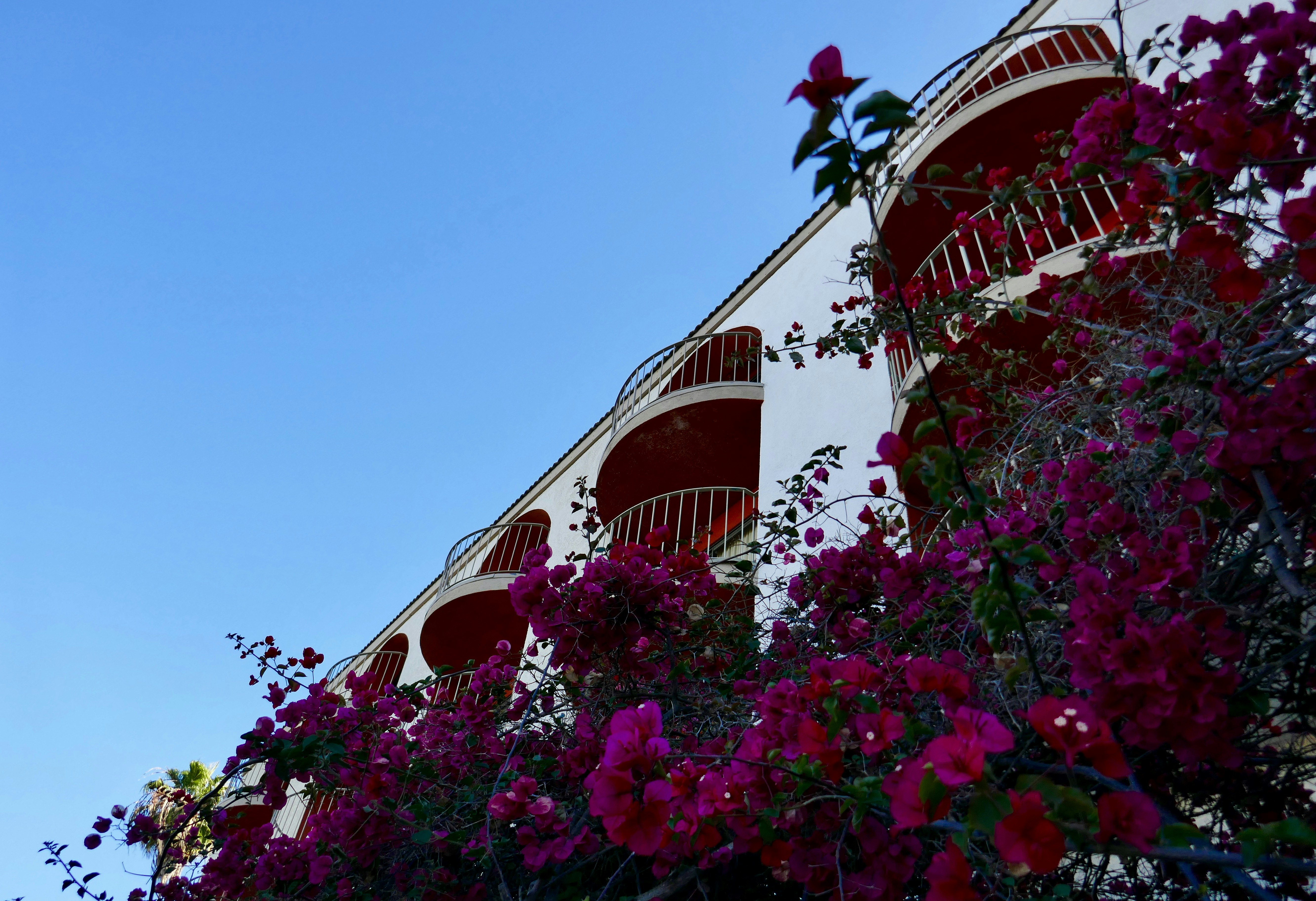 Golden Sails Hotel 4/51