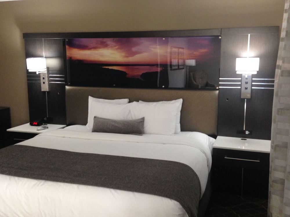 Best Western Plus Clemson Hotel & Conference Center 14/46