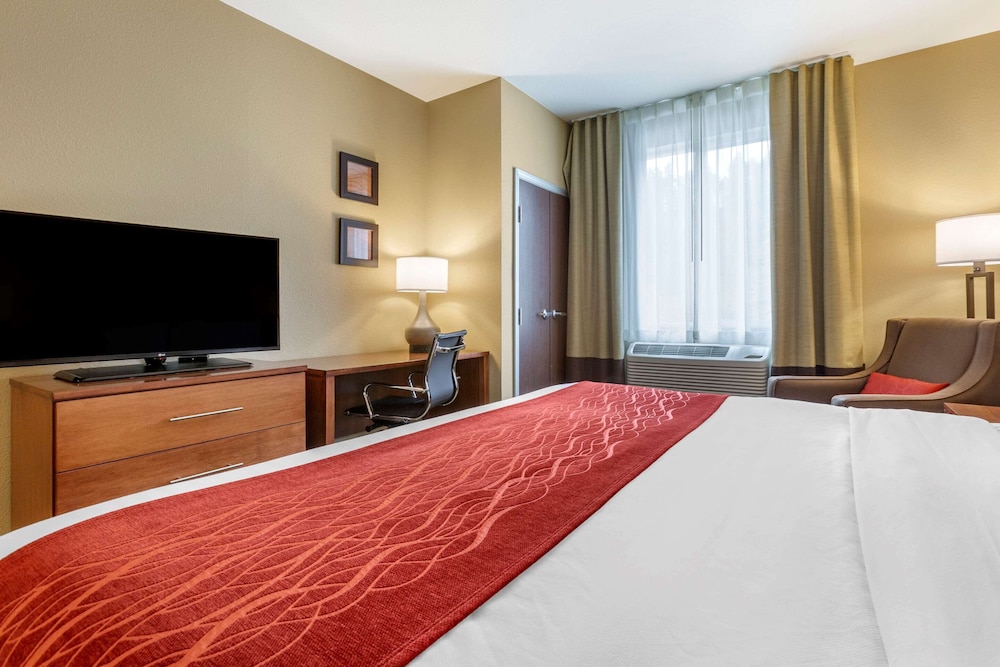 COMFORT INN & SUITES NEAR MT. RUSHMORE 9/34