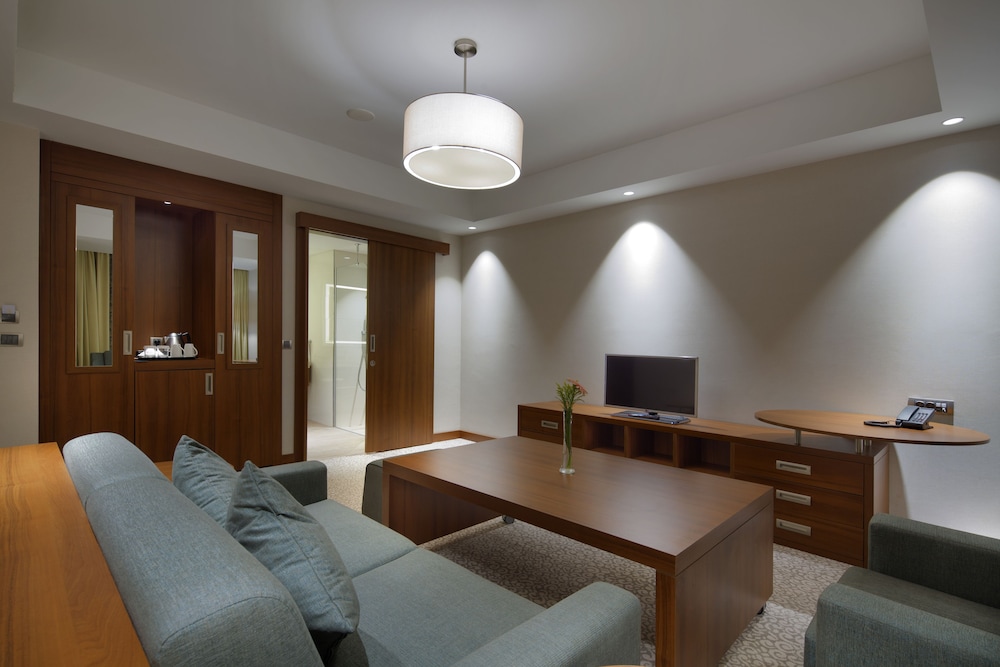 Hilton Garden Inn Istanbul Beylikduzu 36/61