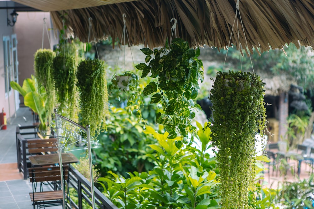 Catba Oasis Bungalows - Hostel 36/45