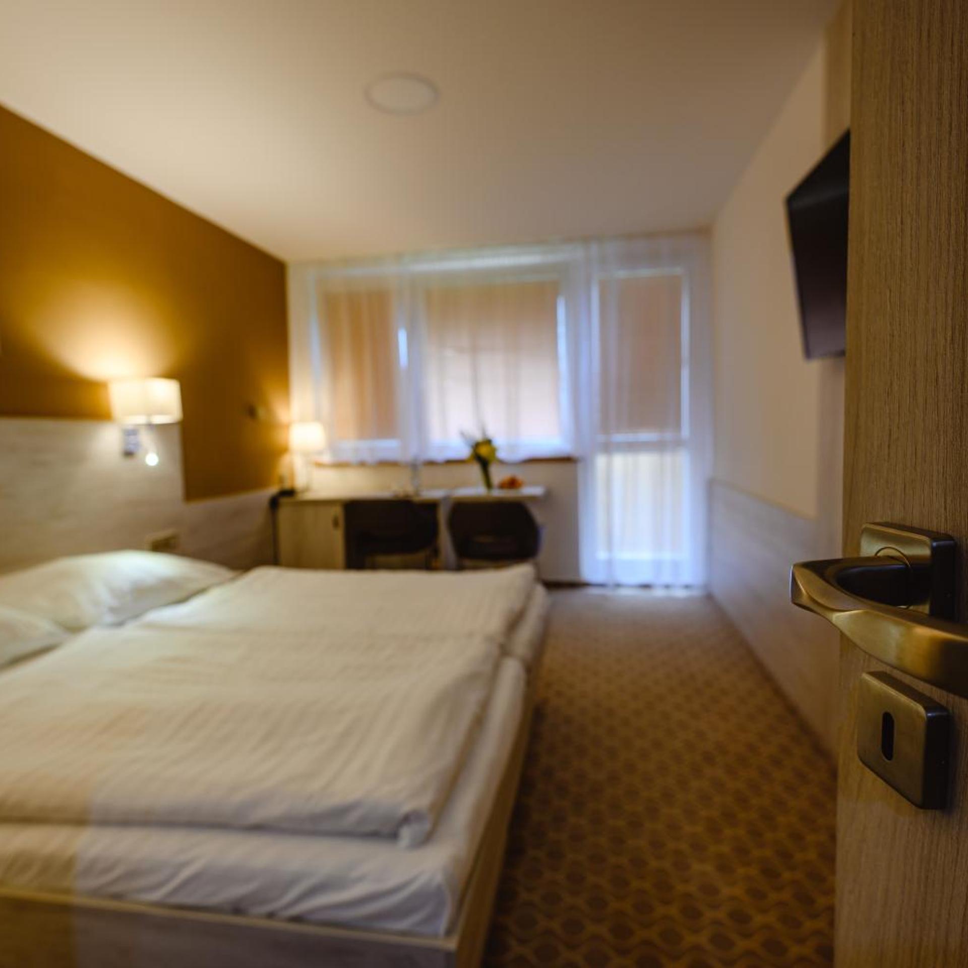 Hotel Vega Luhacovice 21/58