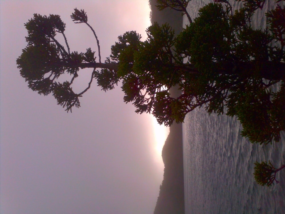 HUON BUSH RETREATS 45/50