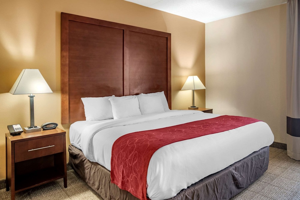 Comfort Suites Hagerstown Southeast 12/39