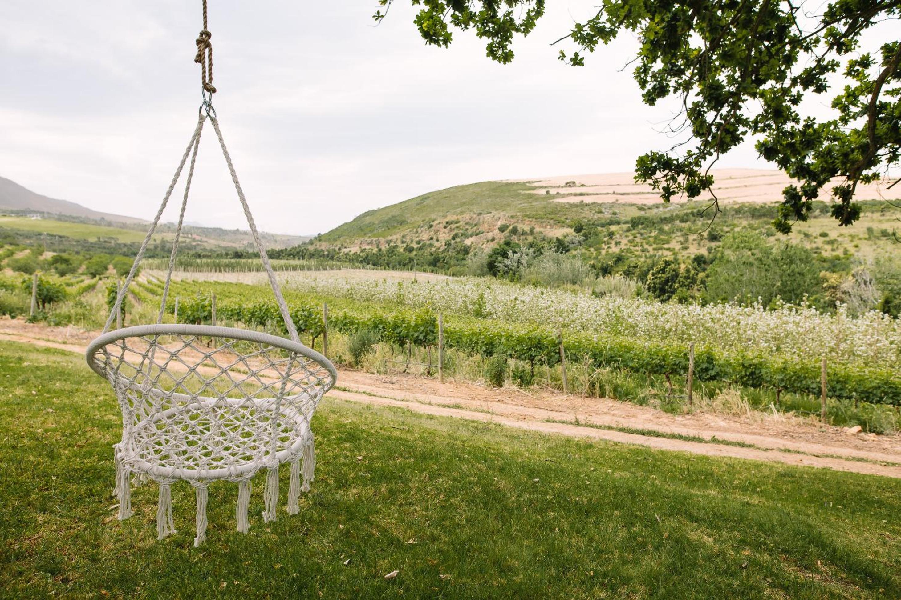 Beaumont Family Wines 10/14