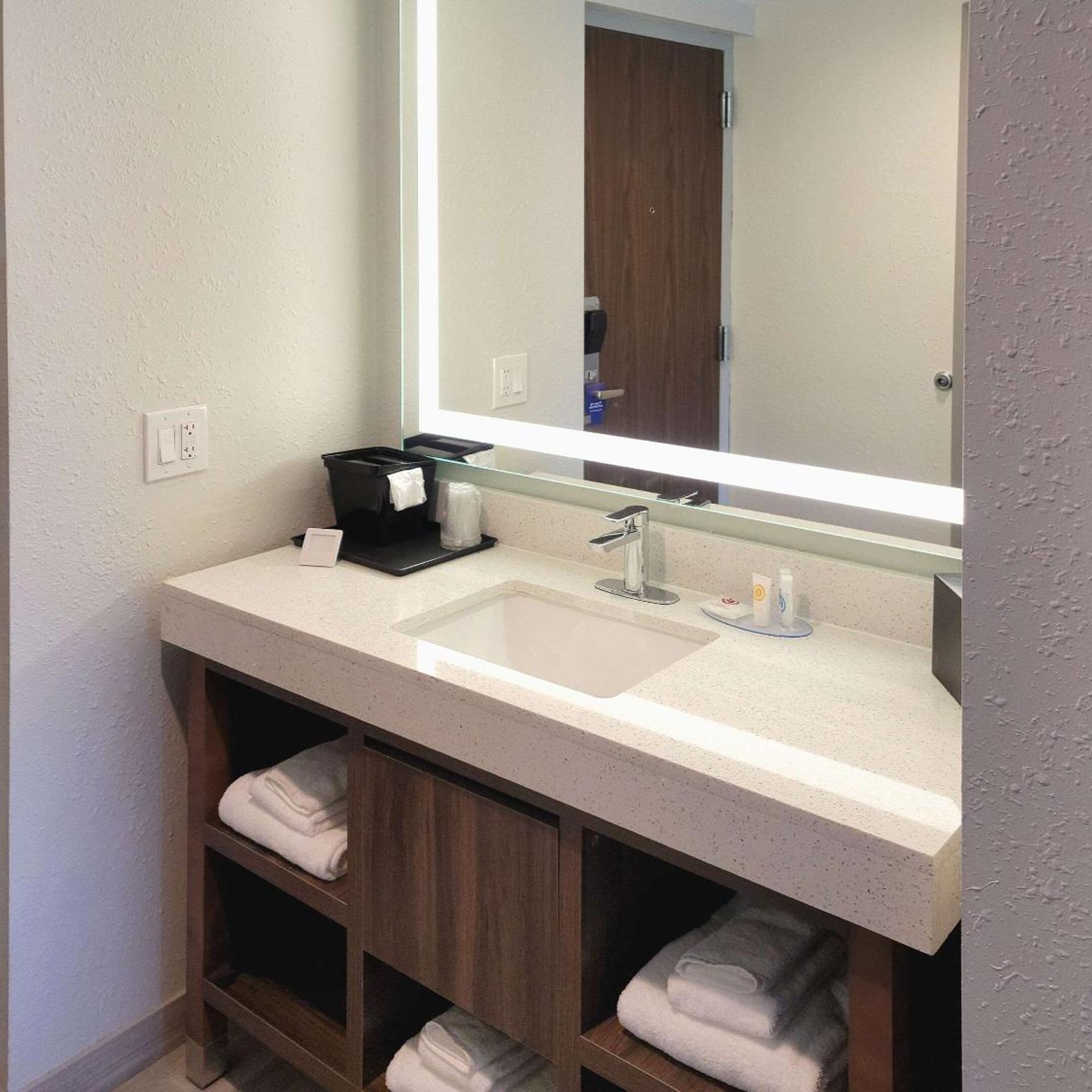 جناح بسرير كينج بحوض استحمام لذوي الإعاقة، Comfort Inn & Suites Wyomissing/Reading 4/6