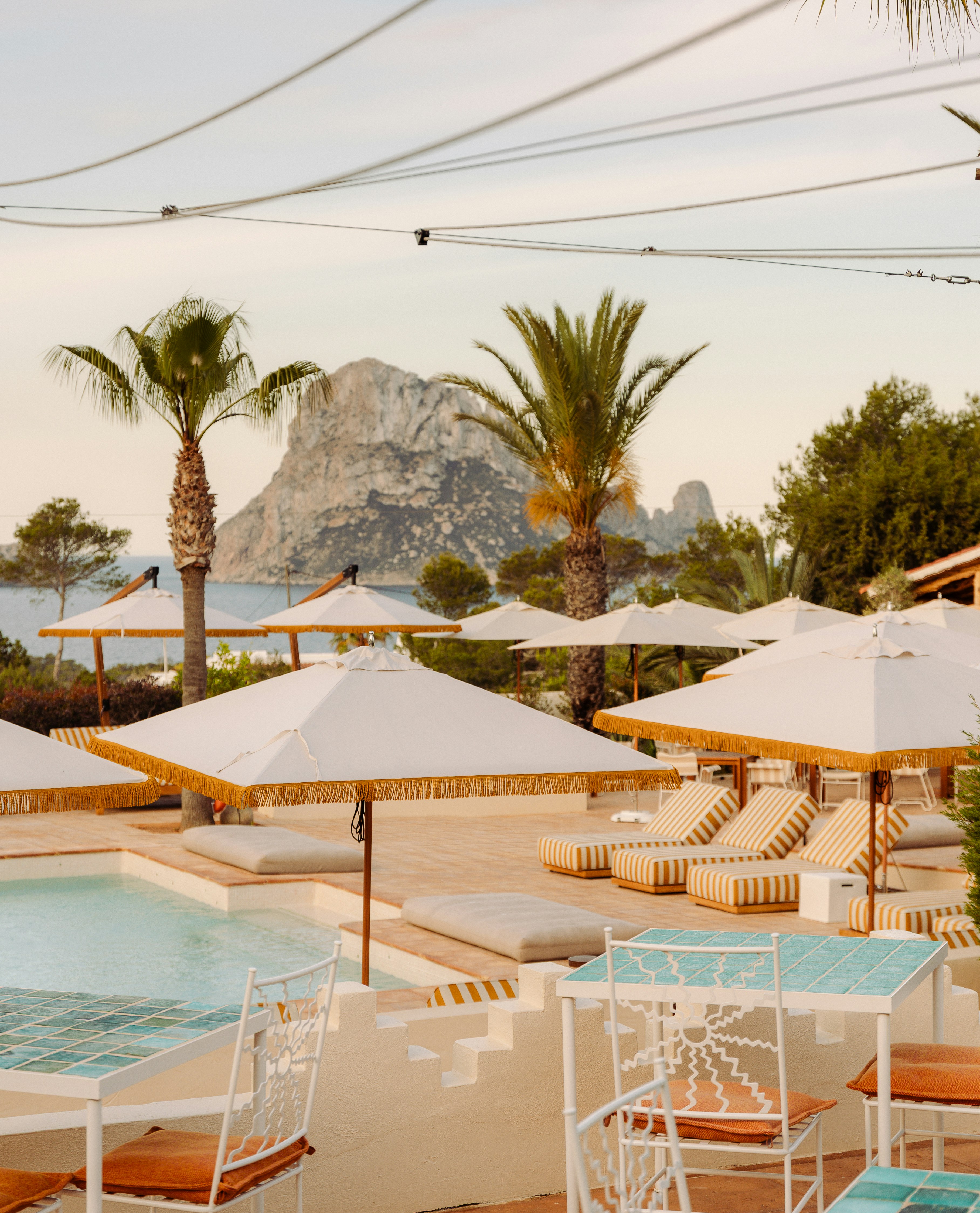 Petunia Hotel Ibiza 25/50