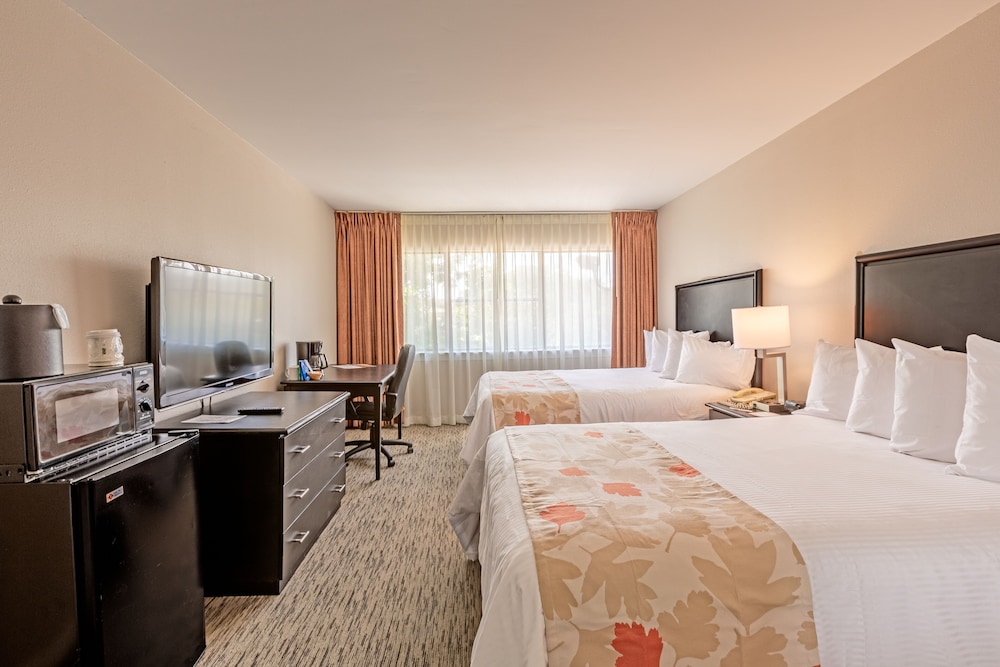 room, 2 double beds