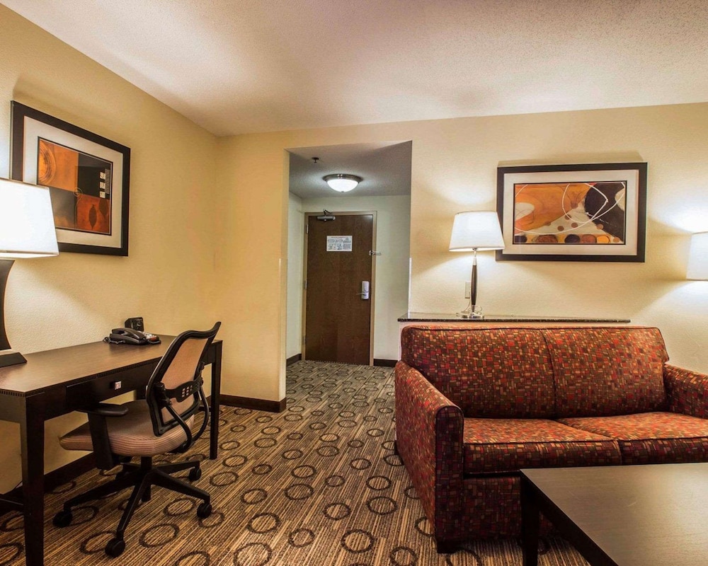Comfort Suites At WestGate Mall 28/42