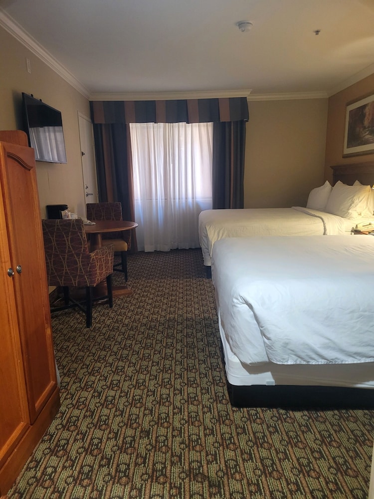 Hotel XOLA, Trademark Collection by Wyndham 14/50