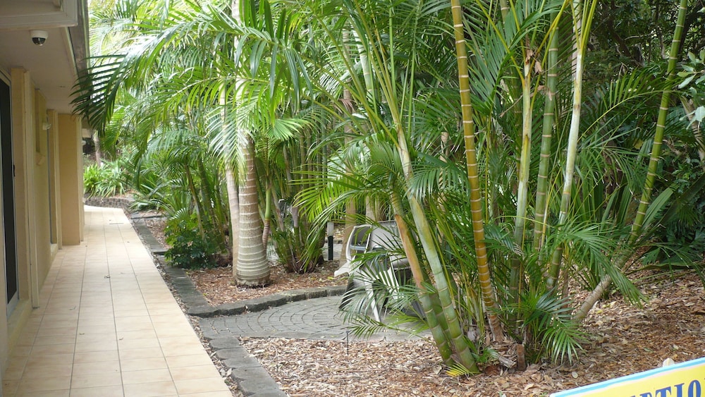 Tiarri Terrigal 32/50