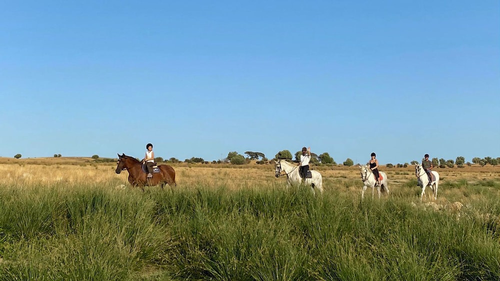 Herdade Dos Delgados 27/60