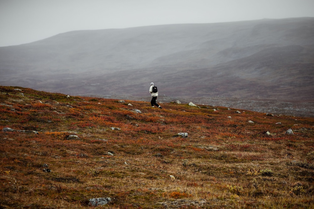 surroundings
