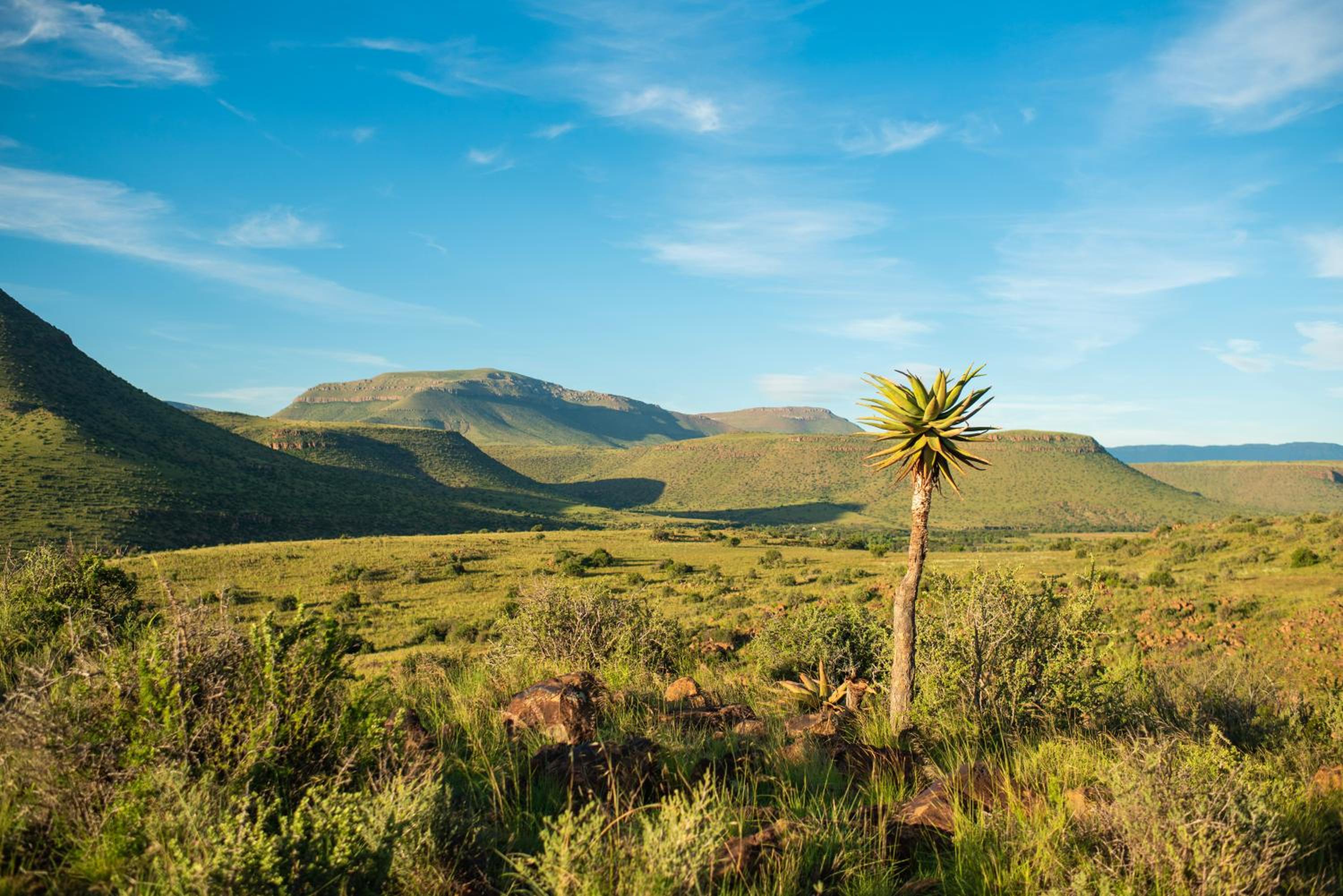 Glen Harry Game Reserve 31/44