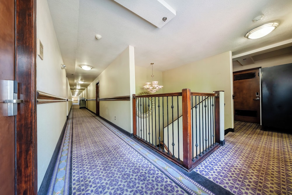 District Hotel 4/50