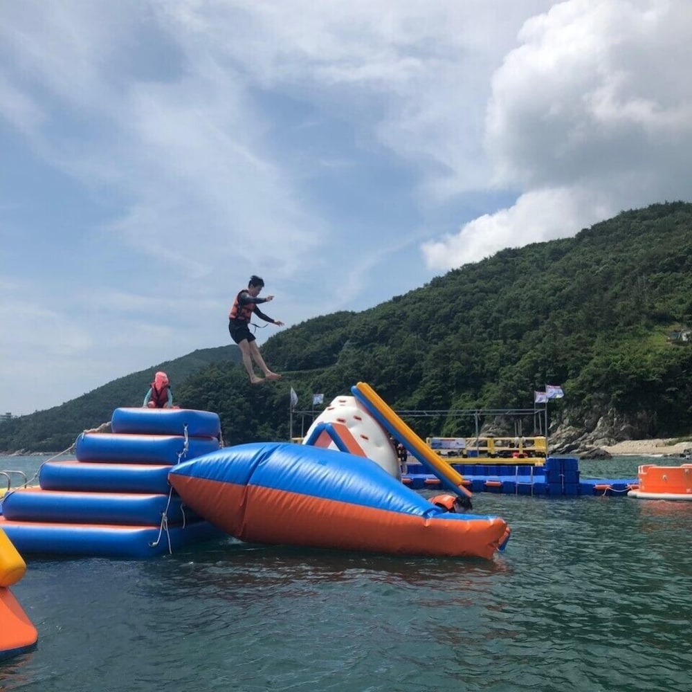 Pinky Marine Pension 23/50