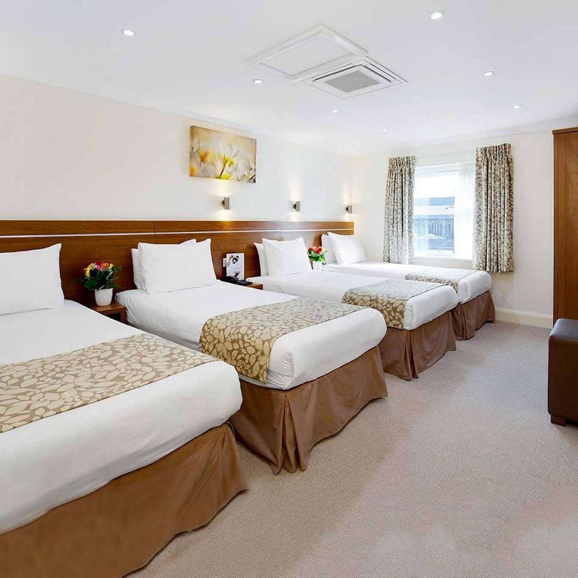 Room, 4 Beds