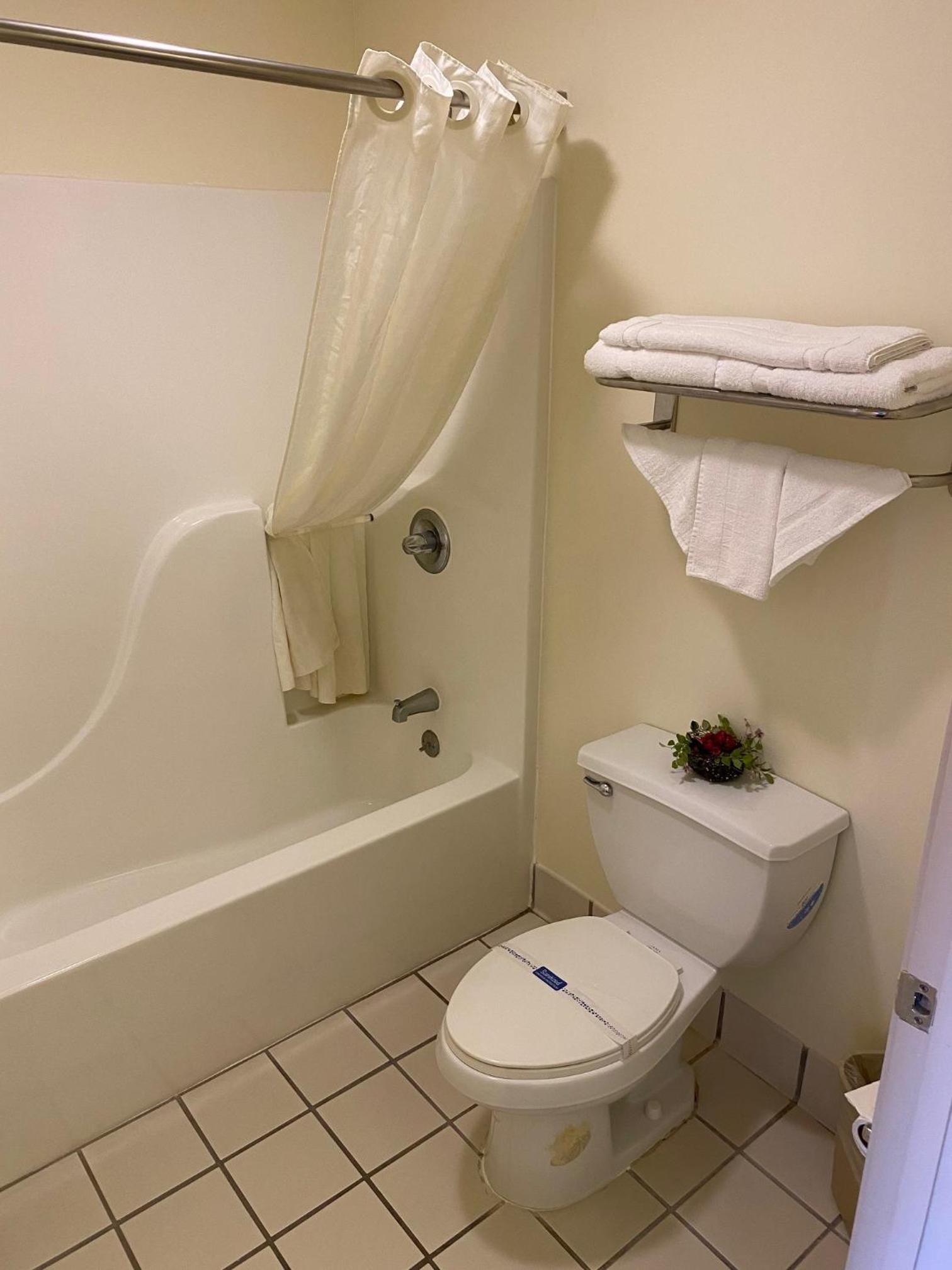 Room, King Bed