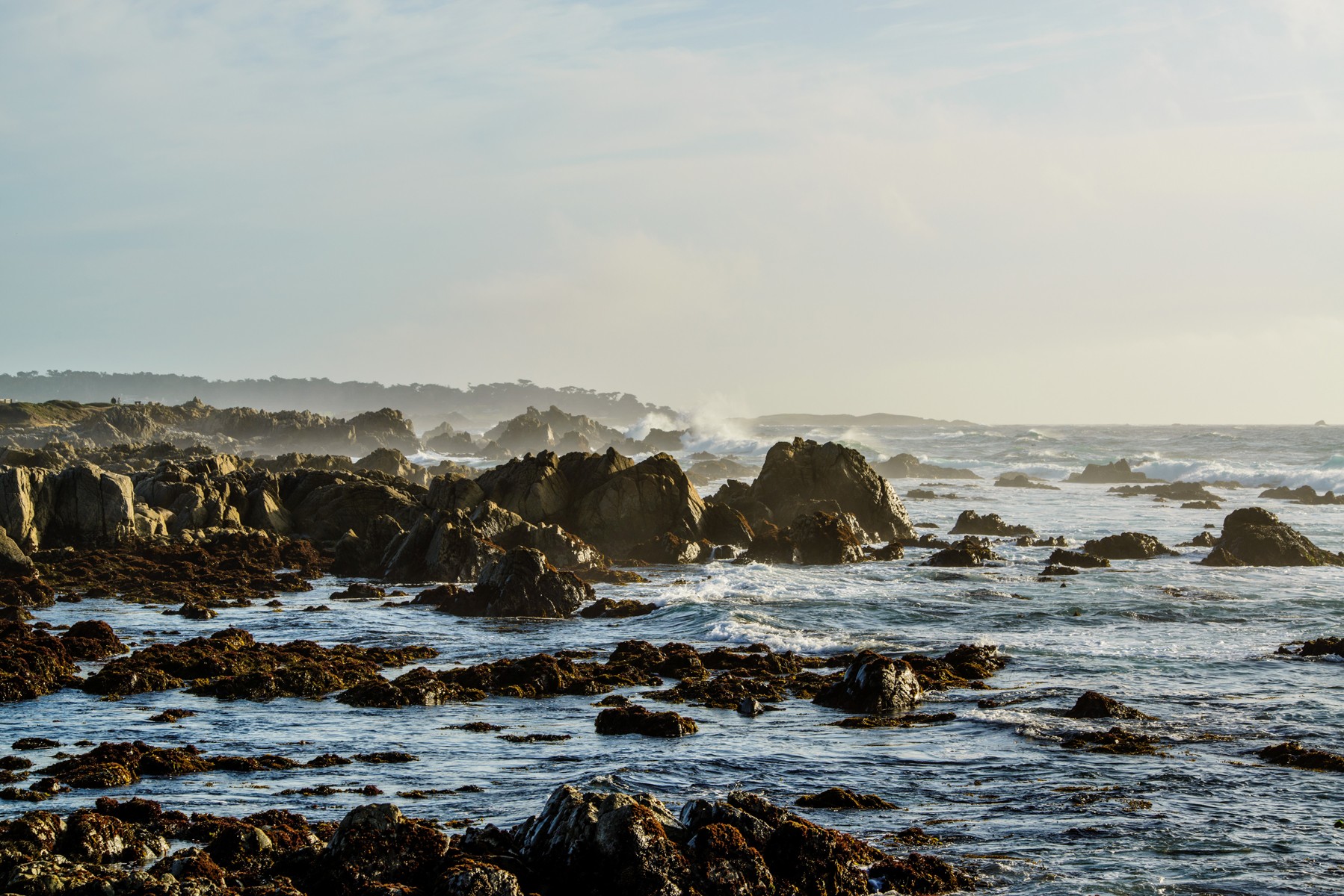 The Inn at Spanish Bay Pebble Beach 46/55
