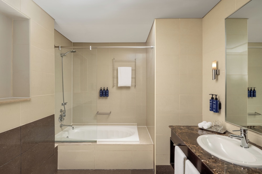 Radisson Blu Hotel, Dubai Barsha Heights 48/49