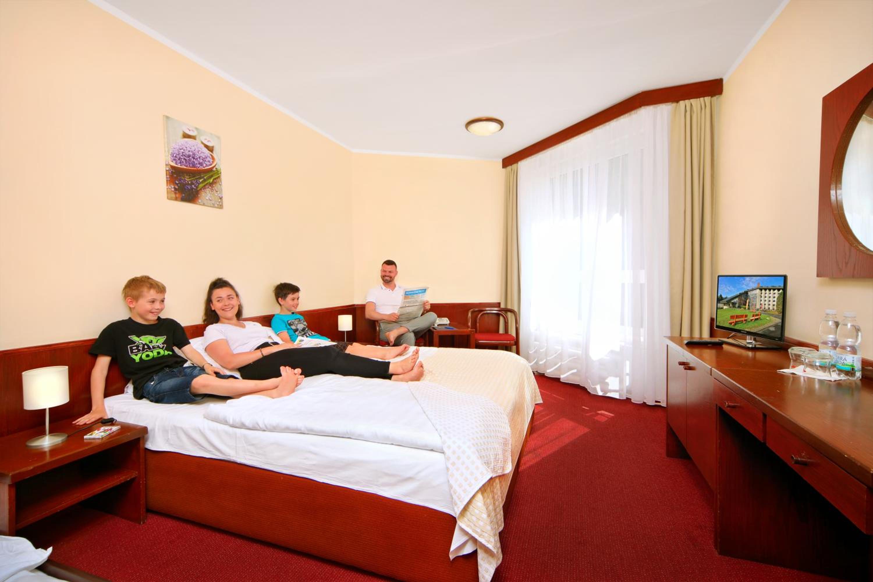 Economy, King Bed, Pool Access، Wellness Hotel Svornost 3/4