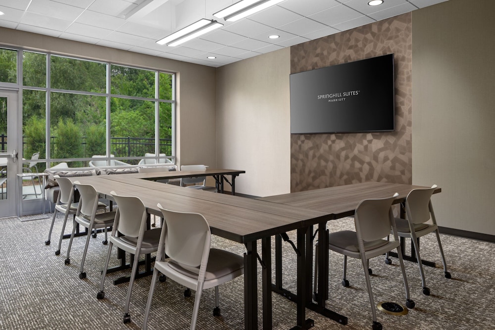 SpringHill Suites Kalamazoo Portage 13/18
