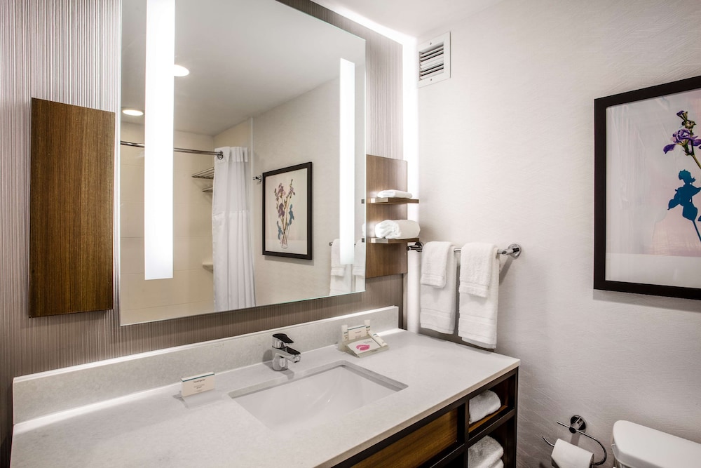 Hilton Garden Inn Nashville-Smyrna 13/55