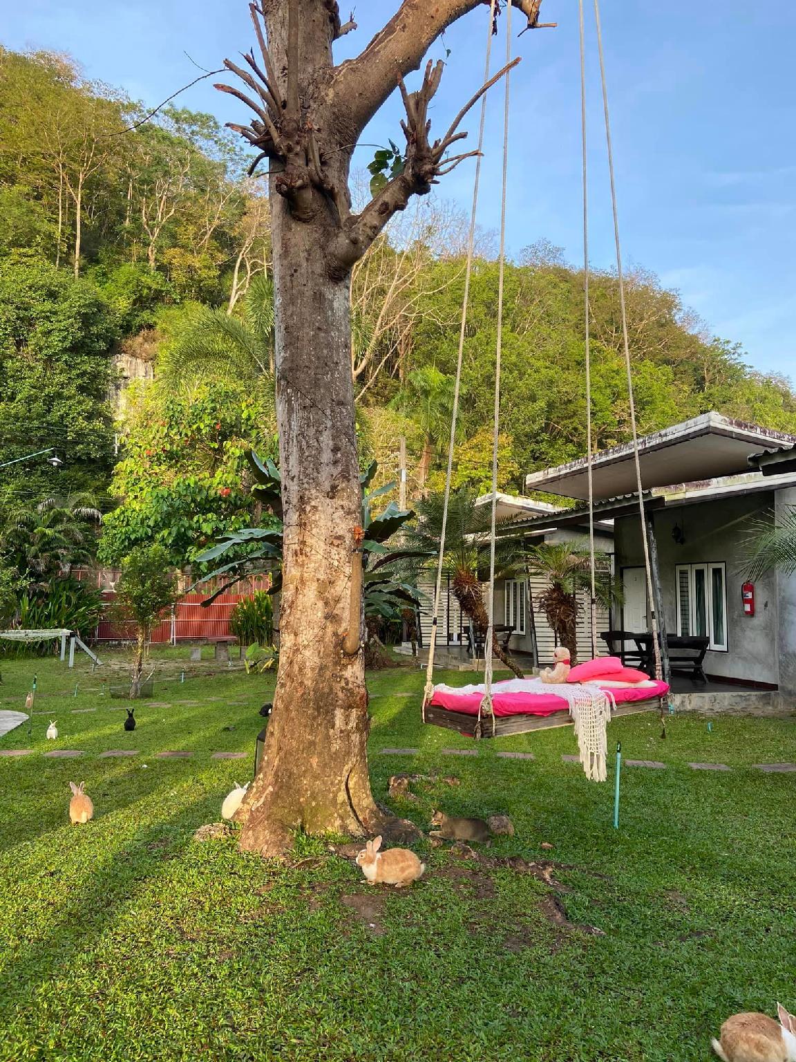 V Valley Resort 31/55