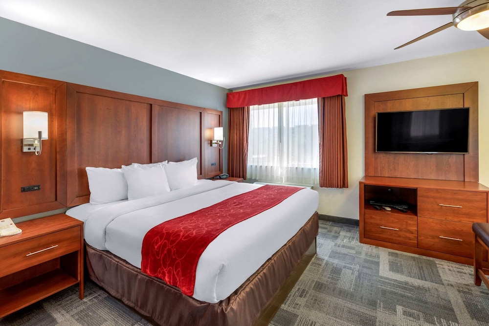 Comfort Suites Denver Tech Center 15/41