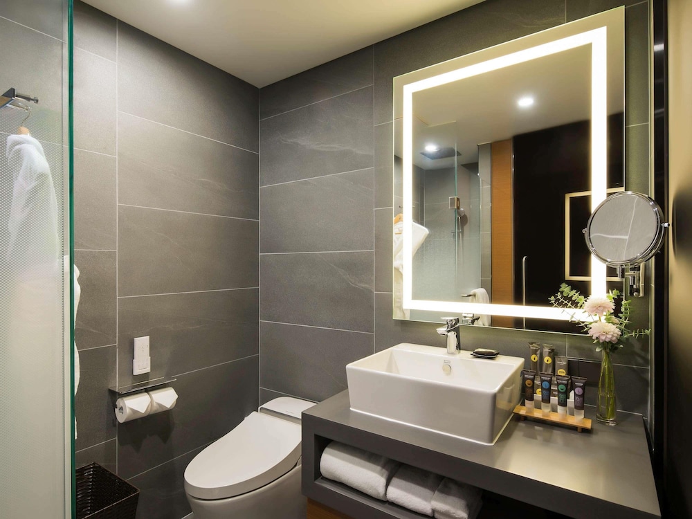 Novotel Ambassador Seoul Dongdaemun Hotels and Residences 75/75