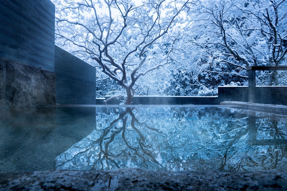 Hoshino Resorts KAI Sengokuhara 28/50