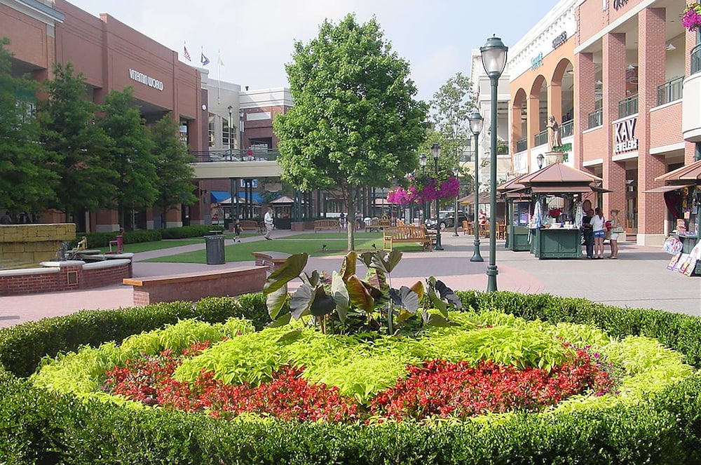 surroundings