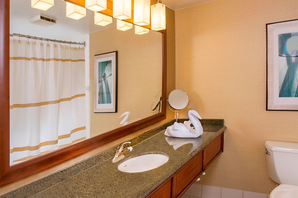 BWI Airport Marriott 10/38