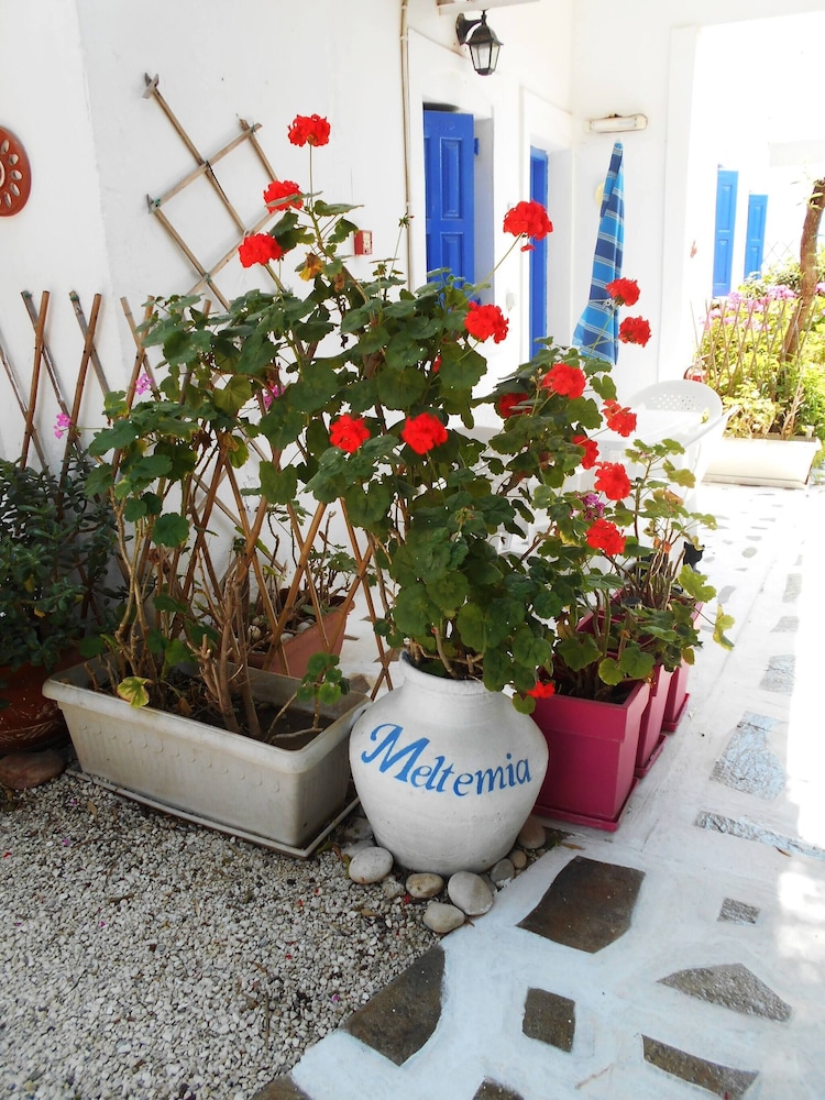 Meltemia Studios 38/50