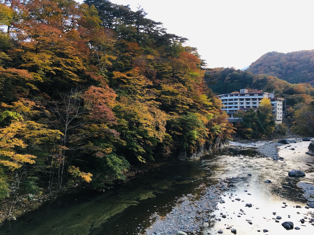 Nikko Garden Hotel 48/50