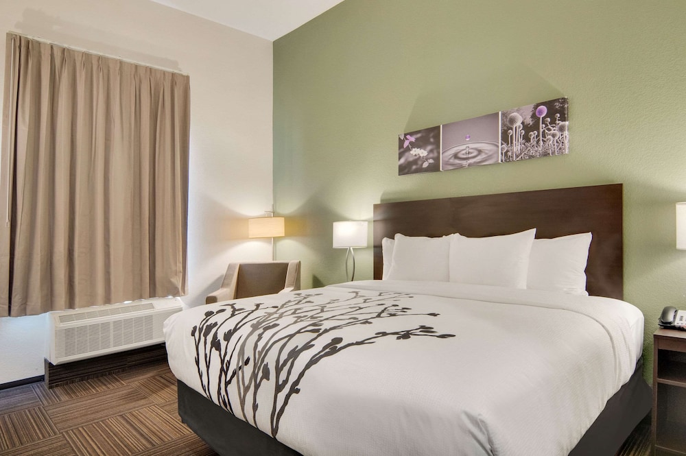 ROOM, KING BED, ACCESSIBLE