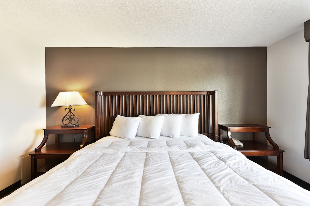 Baymont Inn And Suites By Wyndham Columbus / Near Osu 17/60