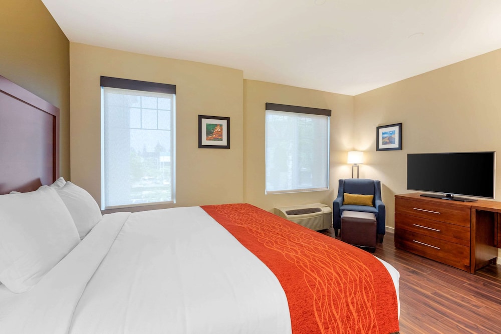 ROOM, KING BED, ACCESSIBLE