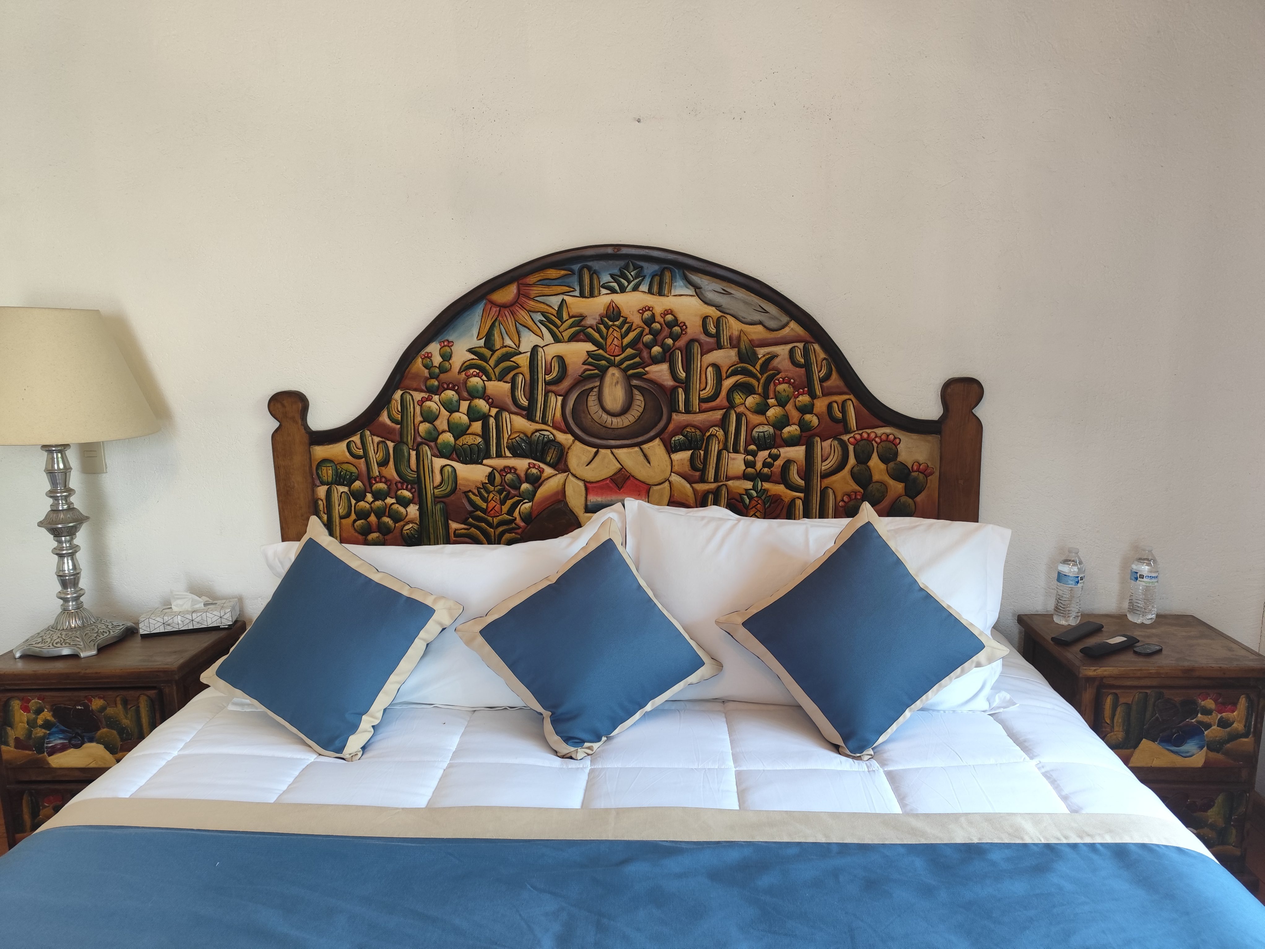 Casa de las Conchas Cuernavaca 6/52
