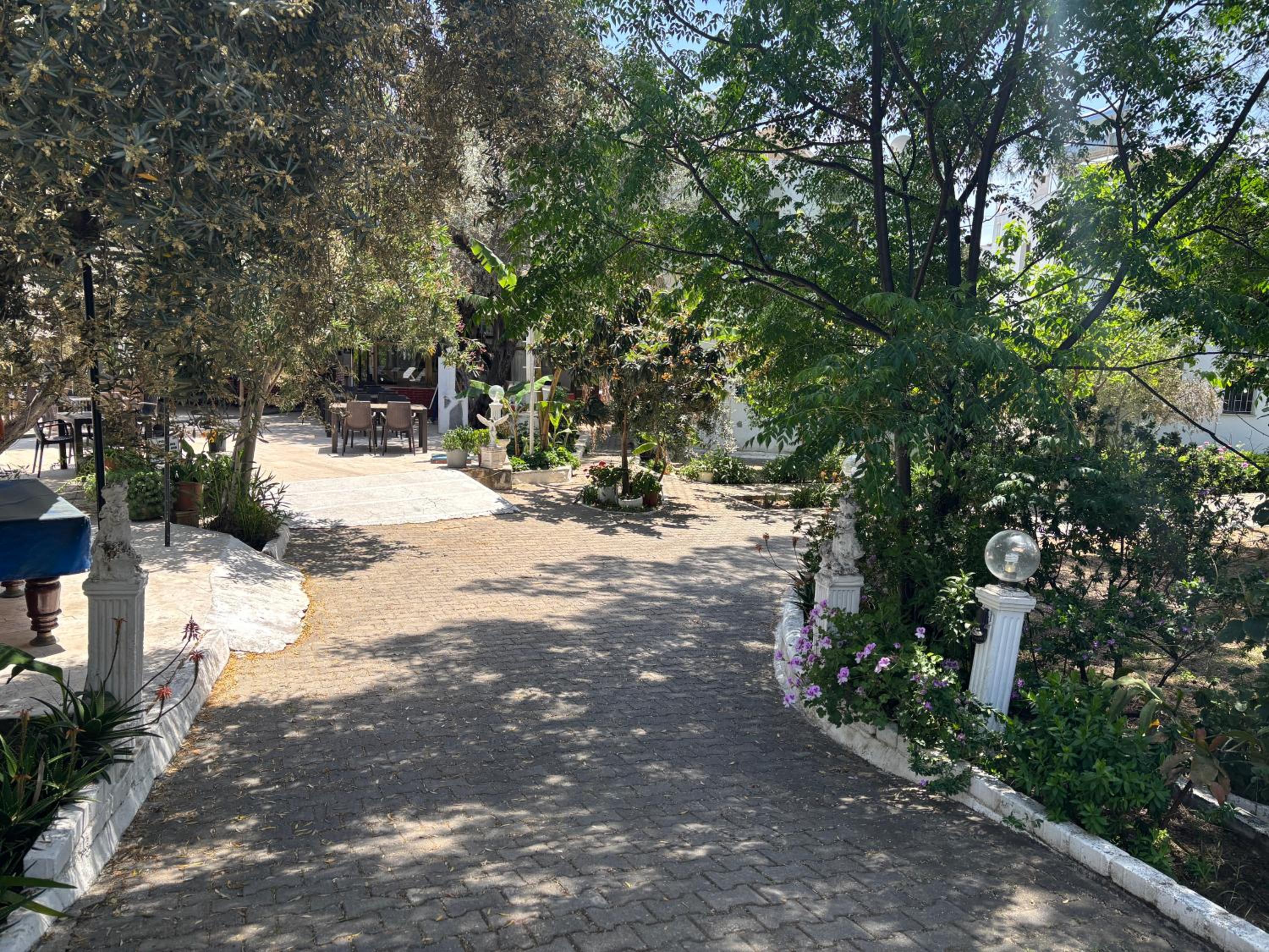 Ali Baba Hotel 52/55