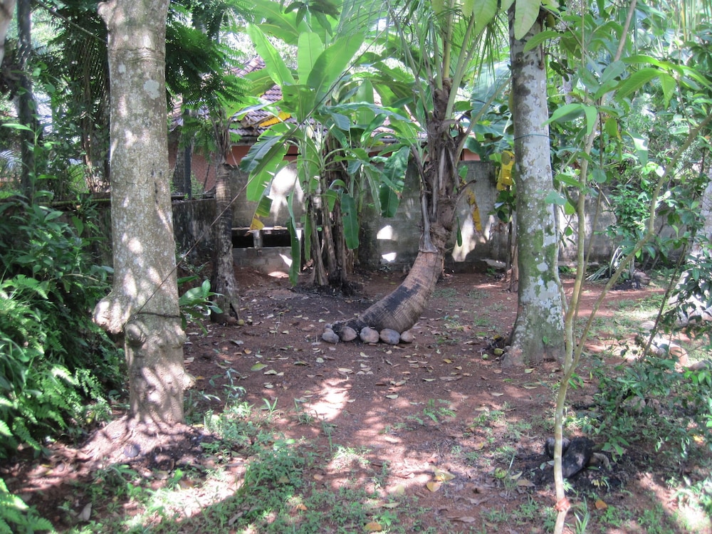 Jungleside House 39/50