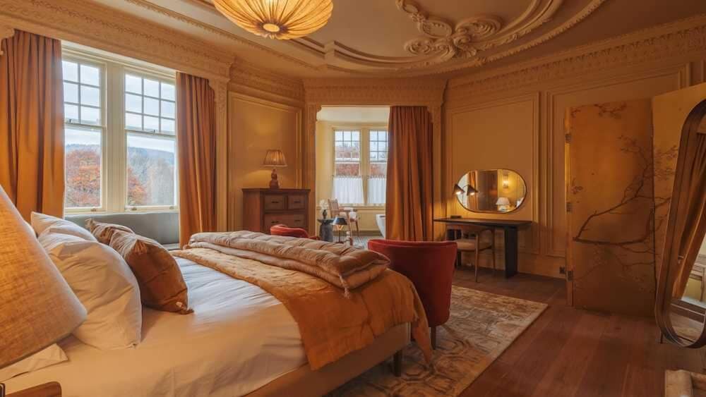 Suite, King Bed