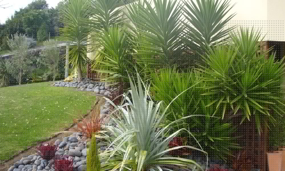 Seascape Villa Bed Breakfast 53/61