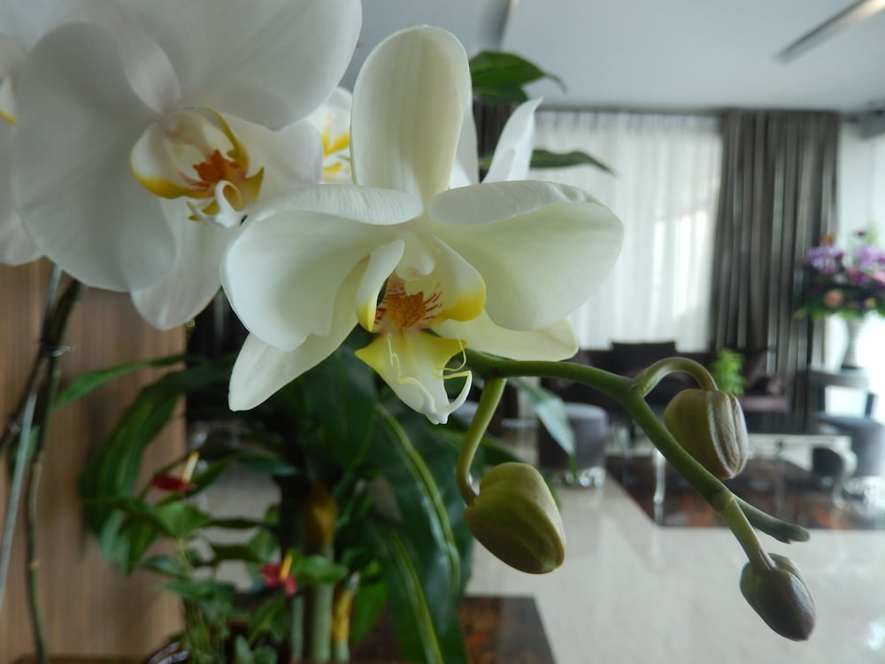 GRAND AMIRA HOTEL 28/63