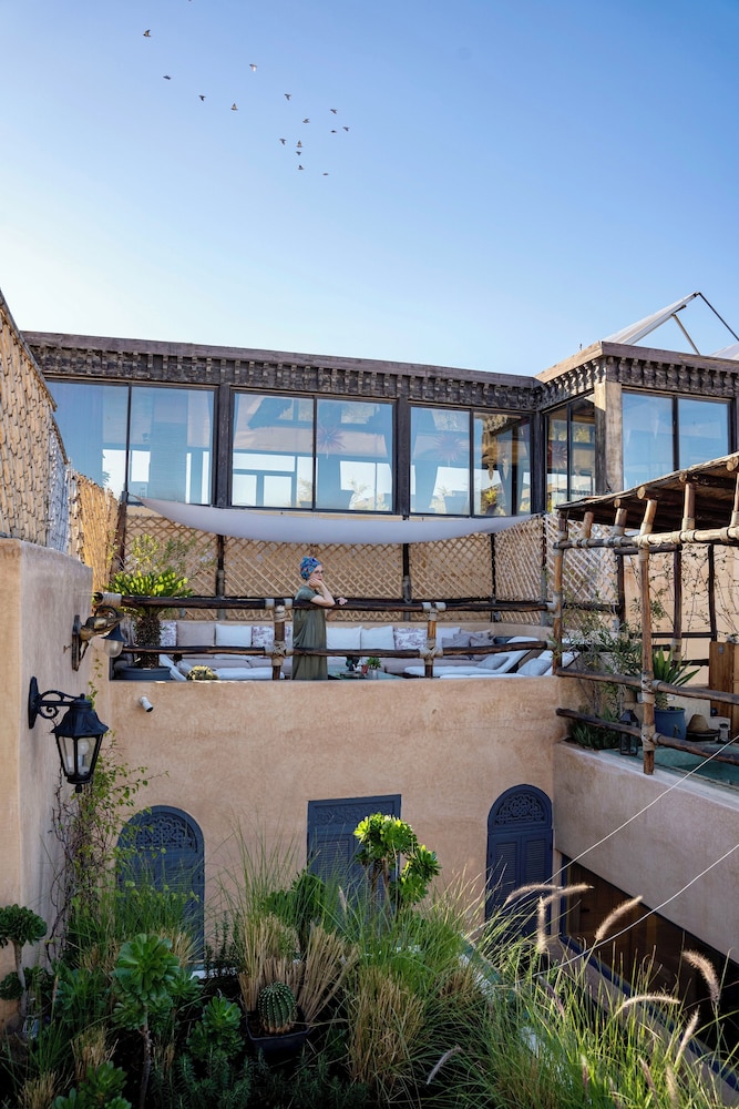 RIAD ANATA 3/50