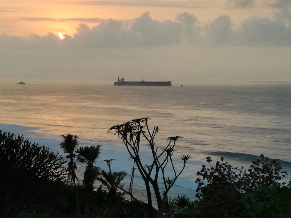 Dolphin Point 22/29